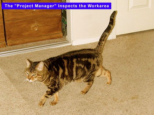 599-Project-Manager.jpg
